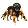 California Costumes Pet Spider Pup Dog Costume 2 California Costumes Pet Spider Pup Dog Costume -California Costume Collections Shop 319VVozHmVL