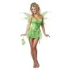 California Costumes Women's Eye Candy Tinkerbell Fairy Adult Adult 2 California Costumes Women's Eye Candy Tinkerbell Fairy Adult Adult -California Costume Collections Shop 31IJK8T8g6L