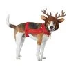 Dog Reindeer Costume - M 1 Dog Reindeer Costume - M -California Costume Collections Shop 31NbhwRSV1L