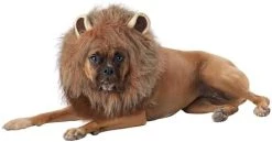 California Costumes Pet KING OF THE JUNGLE Dog Costumes, Brown, XS US -California Costume Collections Shop 31PZUfPmUVL. AC
