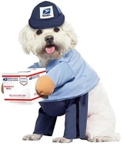 Dog Mail Carrier Costume USPS Medium 13 Dog Mail Carrier Costume USPS Medium -California Costume Collections Shop 31PrWKkAlyL. AC 2