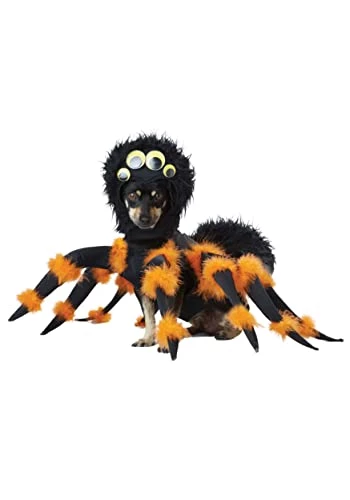 California Costumes Pet Spider Pup Dog Costume 5 California Costumes Pet Spider Pup Dog Costume - Image 3