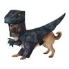 California Costumes Dog Pupasaurus Rex Costume Small 1 California Costumes Dog Pupasaurus Rex Costume Small -California Costume Collections Shop 31YBxtFtNDL
