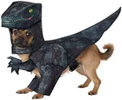 California Costumes Dog Pupasaurus Rex Costume Small 10 California Costumes Dog Pupasaurus Rex Costume Small -California Costume Collections Shop 31YBxtFtNDL. AC 1