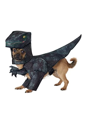 California Costumes Dog Pupasaurus Rex Costume Small 3 California Costumes Dog Pupasaurus Rex Costume Small