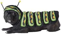 CALIFORNIA COSTUME COLLECTIONS Pet CATERPILLAR Dog Costumes, Navy, Medium US -California Costume Collections Shop 31rXD9o0fEL. AC