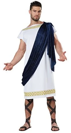 California Costumes Men's Grecian Toga