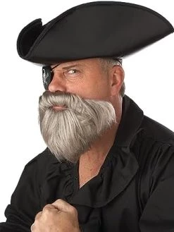 California Costumes The Captain Beard (Grey) -California Costume Collections Shop 410TGuoDBwL. AC