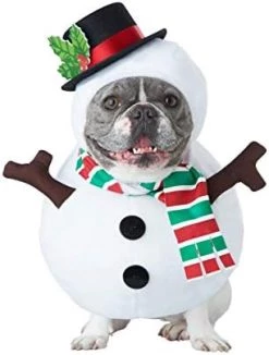 Dog Snowman Costume Large 10 Dog Snowman Costume Large -California Costume Collections Shop 410WRA2JXlL. AC