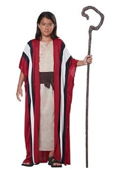 California Costumes Shepherd/Moses Boy Costume, One Color, Small/Medium