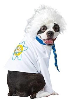 CALIFORNIA COSTUME COLLECTIONS Pet AL-BARK EINSTEIN Dog Costumes, White/Blue, XS US -California Costume Collections Shop 416JZNwmC L