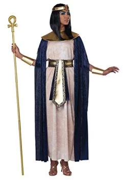 Egyptian Tunic Costume For Adults -California Costume Collections Shop 416XeECAR2L