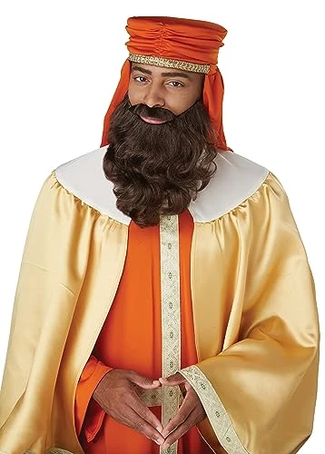 California Costumes Wise Man Brown Wig And Beard Standard 3 California Costumes Wise Man Brown Wig And Beard Standard