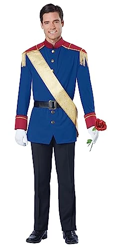 Prince Storybook Costume Mens