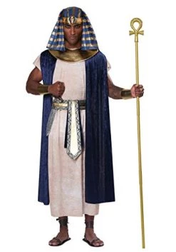 Egyptian Tunic Costume For Adults -California Costume Collections Shop 41Gl7QJvUdL