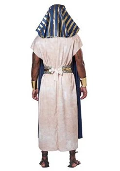 Egyptian Tunic Costume For Adults -California Costume Collections Shop 41HWQ97pquL