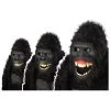 Goin Ape Gorilla Mask 1 Goin Ape Gorilla Mask -California Costume Collections Shop 41I9Gwyt8L