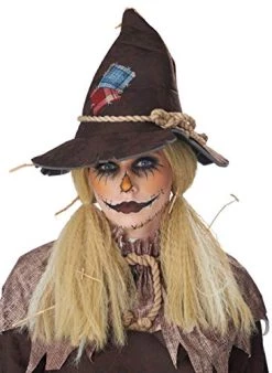 California Costumes Crimped Scarecrow Adult Wig, Standard -California Costume Collections Shop 41IuLUGzAOL