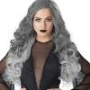 California Costumes Women's Dark Angel Wig, Gray, One Size 2 California Costumes Women's Dark Angel Wig, Gray, One Size -California Costume Collections Shop 41JGc6lKnL