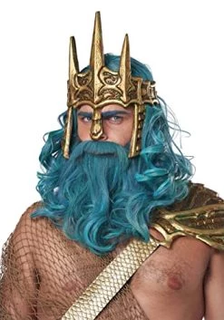 California Costumes Ocean King Wig And Beard Set Standard -California Costume Collections Shop 41NB5mfeMqL