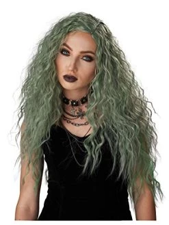 California Costumes Enchanted Waves Wig, Gray/Green, Acc