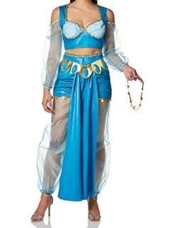 California Costumes Womens Arabian Folk Hero Adult Costume -California Costume Collections Shop 41OZ4xX1BL