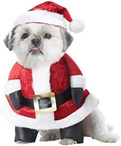 Santa Pup Dog Costume X-Small 8 Santa Pup Dog Costume X-Small -California Costume Collections Shop 41RrU324qlL. AC