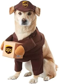 UPS Dog Costume - L 10 UPS Dog Costume - L -California Costume Collections Shop 41VSPTgAVNL. AC 1