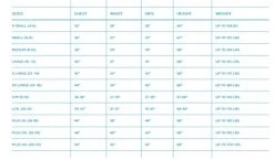 California Costumes Women's High Seas Heroine - Adult Costume Adult Costume, Red/Black, Medium 8 California Costumes Women's High Seas Heroine - Adult Costume Adult Costume, Red/Black, Medium -California Costume Collections Shop 41ZG 4i21zL