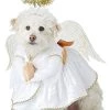 Heavenly Hound Pet Costume Small 1 Heavenly Hound Pet Costume Small -California Costume Collections Shop 41Zwu8UdMzL
