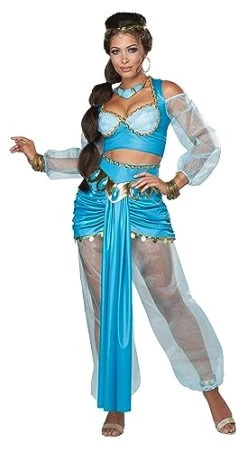 California Costumes Womens Arabian Folk Hero Adult Costume