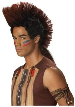 California Costumes Indian Warrior Wig -California Costume Collections Shop 41cJizwwmgL