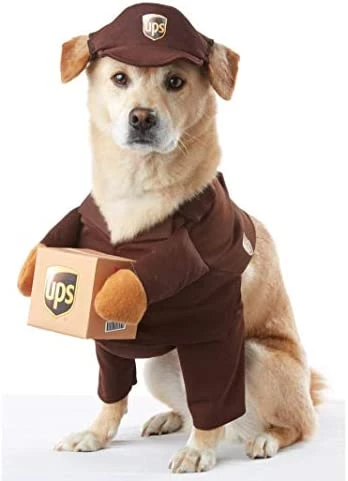 UPS Dog Costume - L 6 UPS Dog Costume - L - Image 4