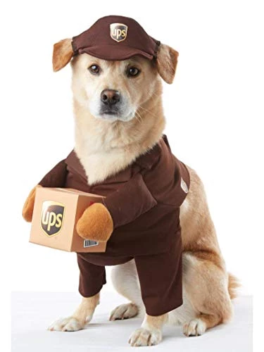 UPS Dog Costume - L 3 UPS Dog Costume - L