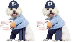 Dog Mail Carrier Costume USPS Medium 15 Dog Mail Carrier Costume USPS Medium -California Costume Collections Shop 41fEXvokfLL. AC