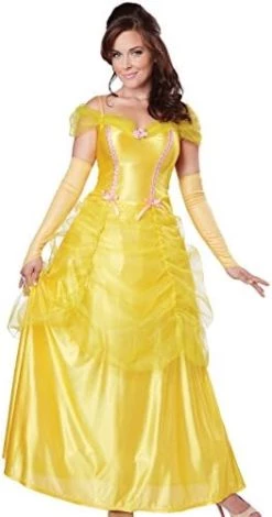 California Costumes Women's Classic Beauty Fairytale Princess Long Dress Gown -California Costume Collections Shop 41h4bdGLm1L. AC 1