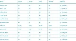 California Costumes Womens Medieval Overdress/Adult 15 California Costumes Womens Medieval Overdress/Adult -California Costume Collections Shop 41hutVoagsL 8