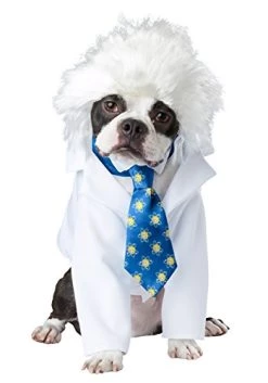 CALIFORNIA COSTUME COLLECTIONS Pet AL-BARK EINSTEIN Dog Costumes, White/Blue, XS US