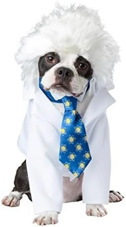 CALIFORNIA COSTUME COLLECTIONS Pet AL-BARK EINSTEIN Dog Costumes, White/Blue, XS US -California Costume Collections Shop 41lRnZwc3jL. AC 1