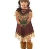 California Costumes Girls Lil' Indian Princess Toddler Costume 2 California Costumes Girls Lil' Indian Princess Toddler Costume -California Costume Collections Shop 41psXmN43EL