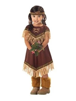 California Costumes Girls Lil' Indian Princess Toddler Costume