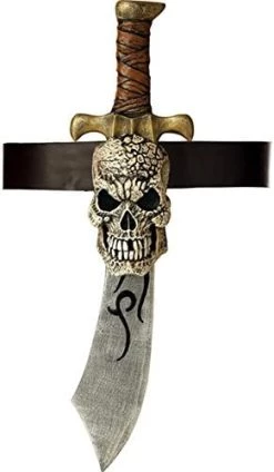 California Costumes Pirate Sword & Skull Sheath Costume Accessory -California Costume Collections Shop 41q0Pnwu6nL. AC