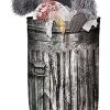 Trash Panda Costume For Kids 2 Trash Panda Costume For Kids -California Costume Collections Shop 41qv3QyW2NL