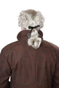 California Costumes Men's 18Th Century Peruke Wig -California Costume Collections Shop 41t 27ijMwL