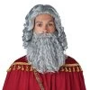 California Costumes Men's Biblical King Wig & Beard - Adult Adult Costume