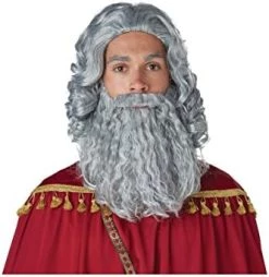 California Costumes Men's Biblical King Wig & Beard - Adult Adult Costume -California Costume Collections Shop 41tBLqwBijL. AC