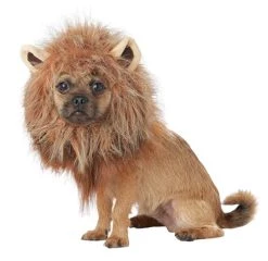 California Costumes Pet KING OF THE JUNGLE Dog Costumes, Brown, XS US
