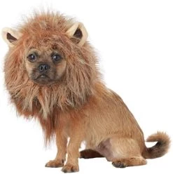 California Costumes Pet KING OF THE JUNGLE Dog Costumes, Brown, XS US -California Costume Collections Shop 41u20gKZxjL. AC