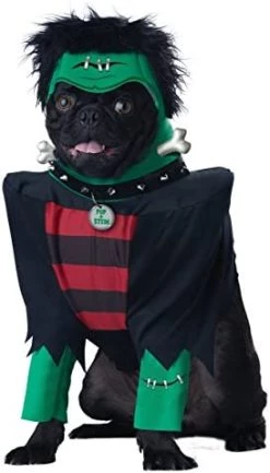 Frankenpup Dog Costume - L -California Costume Collections Shop 41w9 1BHkHL. AC 2