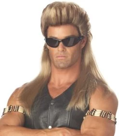 California Costumes Men's Bail Enforcer Wig -California Costume Collections Shop 41xK7HVlfsL. AC